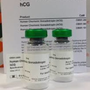 HUMAN CHORIONIC GONADOTROPIN (HCG)