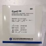 CysC (Cystatin C)