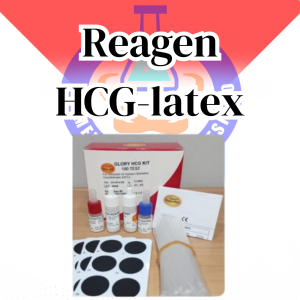 HCG-LATEX GLORY
