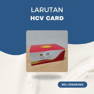 HAV