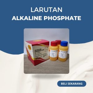 ALKALINE PHOSPHATASE BR GLORY