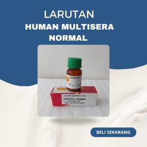 Human Multisera normal