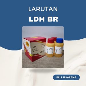 LDH BR