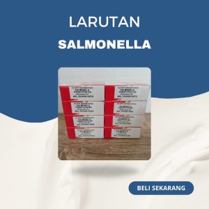 Salmonella Paraftyphi BO