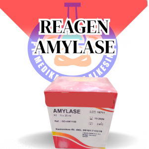AMYLASE MR