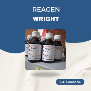 WRIGHT INDOREAGEN