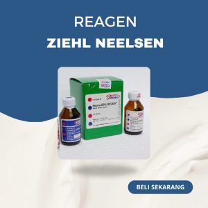 PEWARNAAN ZIEHL NEELSEN INDOREAGEN