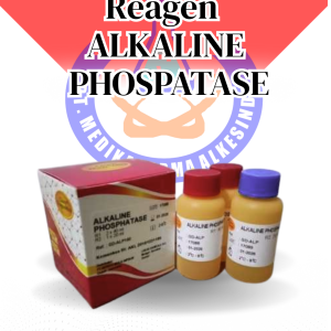 ALKALINE PHOSPHATASE BR GLORY