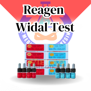 Salmonella Typhi H GLORY