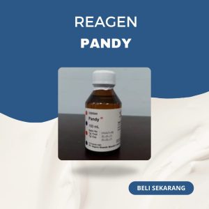 PANDY INDOREAGENT